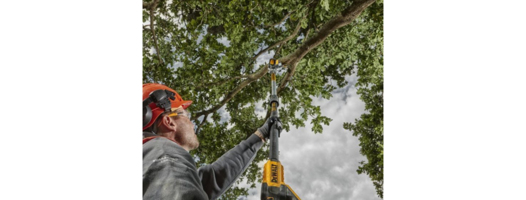 élagueuse sur perche dewalt