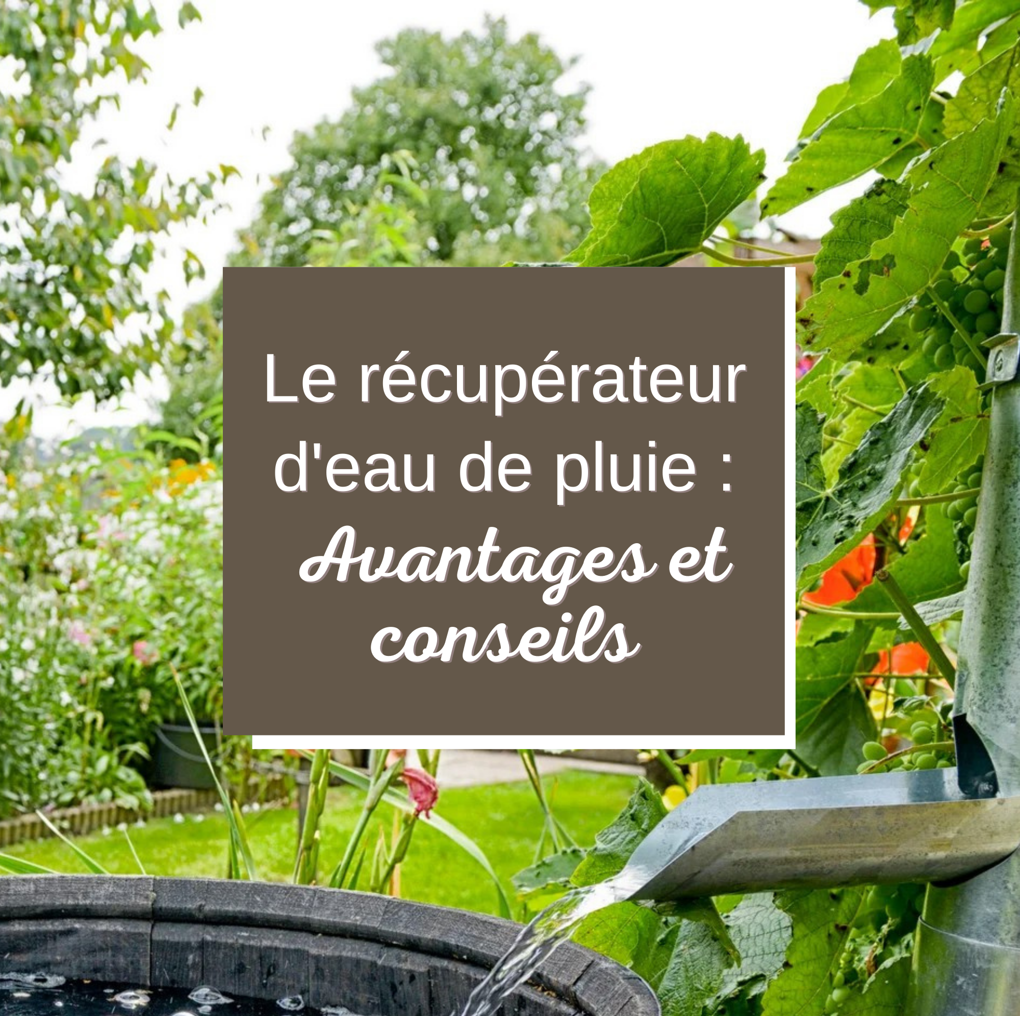 Bien choisir un récupérateur d'eau ! Tous nos conseils !