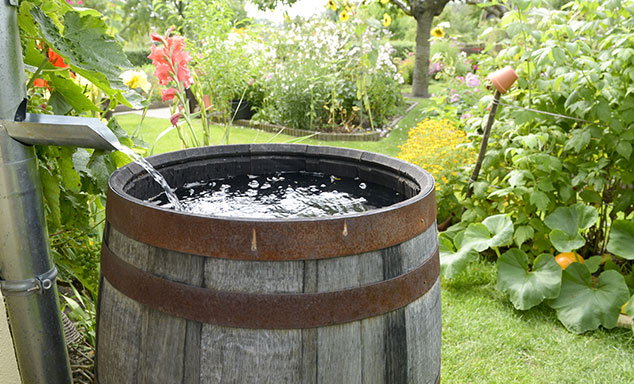 Récupérateur d'eau de pluie en zinc